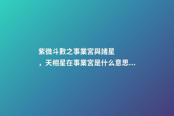 紫微斗數之事業宮與諸星，天相星在事業宮是什么意思？